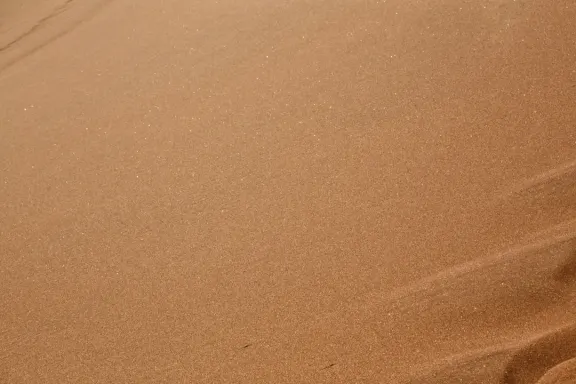 Casino Bingo Millionaire Supporto